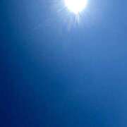 ヒメ日記 2026/06/17 09:53 投稿 しおり 那珂川角海老