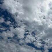 ヒメ日記 2026/06/29 10:43 投稿 しおり 那珂川角海老