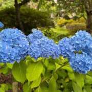 ヒメ日記 2026/07/11 09:43 投稿 しおり 那珂川角海老