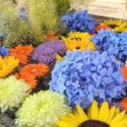 ヒメ日記 2025/09/28 19:34 投稿 舞 那珂川角海老