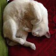 舞 お疲れ様です 那珂川角海老