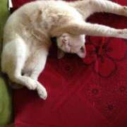 ヒメ日記 2026/01/02 19:33 投稿 舞 那珂川角海老