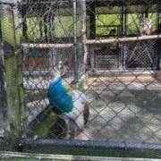 舞 お疲れ様です 那珂川角海老