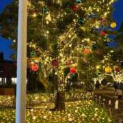 ヒメ日記 2025/12/24 08:43 投稿 あおい 那珂川角海老