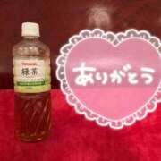 ヒメ日記 2026/05/31 08:53 投稿 あおい 那珂川角海老
