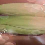 ヒメ日記 2025/08/27 19:33 投稿 ノン 那珂川角海老