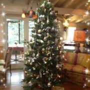 ヒメ日記 2025/12/25 13:33 投稿 ノン 那珂川角海老