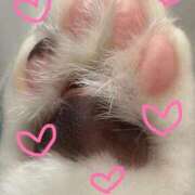 ヒメ日記 2025/11/04 15:13 投稿 優子 那珂川角海老