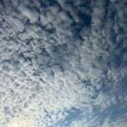 ヒメ日記 2025/12/26 15:53 投稿 優子 那珂川角海老