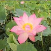 ヒメ日記 2025/08/16 15:23 投稿 直美 那珂川角海老