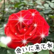 ヒメ日記 2025/10/04 13:53 投稿 直美 那珂川角海老