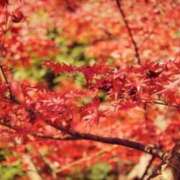 ヒメ日記 2025/11/28 13:53 投稿 直美 那珂川角海老