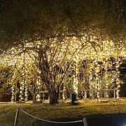 直美 出勤 那珂川角海老