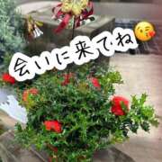 ヒメ日記 2025/12/20 15:53 投稿 直美 那珂川角海老