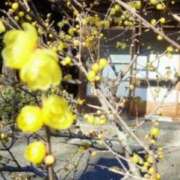 ヒメ日記 2026/02/11 16:43 投稿 直美 那珂川角海老