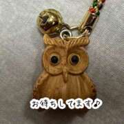 ヒメ日記 2026/02/19 15:43 投稿 直美 那珂川角海老