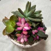 ヒメ日記 2026/02/22 14:03 投稿 直美 那珂川角海老