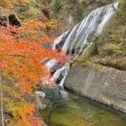 ヒメ日記 2025/10/30 03:43 投稿 ヒカル 那珂川角海老