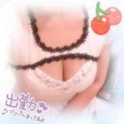 ヒメ日記 2025/12/27 10:03 投稿 ヒカル 那珂川角海老