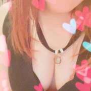 ヒメ日記 2025/12/30 14:53 投稿 ヒカル 那珂川角海老