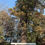 ヒメ日記 2026/02/03 13:23 投稿 ヒカル 那珂川角海老