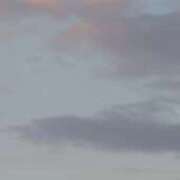 ヒメ日記 2025/12/28 09:03 投稿 奈々 那珂川角海老