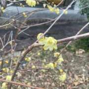 ヒメ日記 2026/01/28 12:43 投稿 みか 那珂川角海老