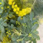 ヒメ日記 2026/03/10 16:33 投稿 みか 那珂川角海老