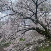 みか 地震 那珂川角海老