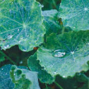 ヒメ日記 2025/05/30 08:50 投稿 のあ ○コキクリニック～○○クリニックシリーズ～