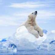 ヒメ日記 2025/06/21 08:57 投稿 のあ ○コキクリニック～○○クリニックシリーズ～