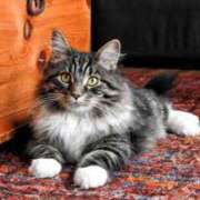 ヒメ日記 2025/07/08 08:45 投稿 のあ ○コキクリニック～○○クリニックシリーズ～