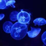 ヒメ日記 2025/08/07 08:53 投稿 のあ ○コキクリニック～○○クリニックシリーズ～