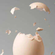 ヒメ日記 2025/08/19 08:56 投稿 のあ ○コキクリニック～○○クリニックシリーズ～