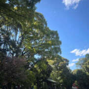 ヒメ日記 2025/09/24 08:53 投稿 のあ ○コキクリニック～○○クリニックシリーズ～