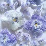 ヒメ日記 2025/10/02 09:00 投稿 のあ ○コキクリニック～○○クリニックシリーズ～