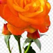 ヒメ日記 2025/03/24 21:52 投稿 相葉れい 五十路マダム富山店(カサブランカグループ)