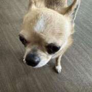 ヒメ日記 2025/05/30 16:46 投稿 しいな 快楽玉乱堂