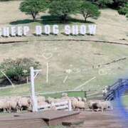 ヒメ日記 2025/05/08 19:16 投稿 りん 埼玉アロマプリンセス（ユメオト）