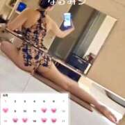 ヒメ日記 2025/05/29 19:14 投稿 Reiyu Narumi ELEGANT－エレガント－