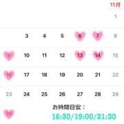 Reiyu Narumi 11月の出勤予定です?? ELEGANT－エレガント－