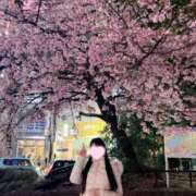 ヒメ日記 2025/03/21 10:03 投稿 ななせ 女帝