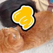 ヒメ日記 2025/05/11 21:58 投稿 すず 梅田アバンチュール