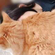 ヒメ日記 2025/05/13 23:40 投稿 すず 梅田アバンチュール