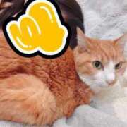 ヒメ日記 2025/05/16 21:38 投稿 すず 梅田アバンチュール