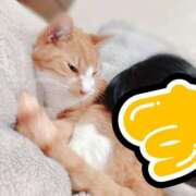 ヒメ日記 2025/05/18 01:32 投稿 すず 梅田アバンチュール