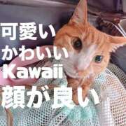 ヒメ日記 2025/05/21 11:29 投稿 すず 梅田アバンチュール