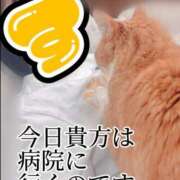 ヒメ日記 2025/05/28 08:00 投稿 すず 梅田アバンチュール