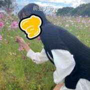 ヒメ日記 2025/06/04 12:01 投稿 すず 梅田アバンチュール