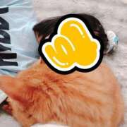 ヒメ日記 2025/06/05 23:51 投稿 すず 梅田アバンチュール